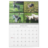 Tierkalender Kalender (Mär 2027)