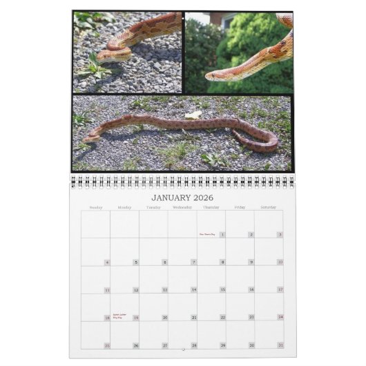 Tierkalender Kalender (Jan 2026)