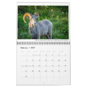 Tierkalender mit Beschriftungen Kalender (Feb 2027)