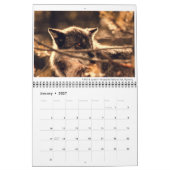 Tierkalender mit Beschriftungen Kalender (Jan 2027)