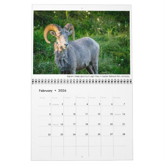 Tierkalender mit Beschriftungen Kalender (Feb 2026)