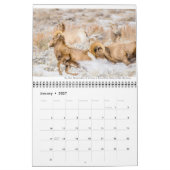 Tierkalender mit Beschriftungen Kalender (Jan 2027)