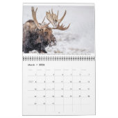 Tierkalender mit Beschriftungen Kalender (Mär 2026)