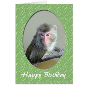 Tierkarte zum Geburtstag