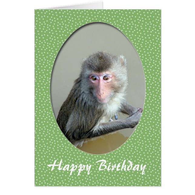 Tierkarte zum Geburtstag (Vorne)