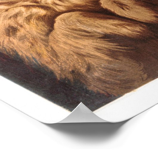 Tierkartenmalerei Poster (Ecke)