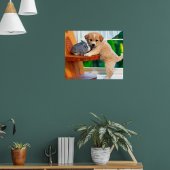 Tierkenntnisse Poster