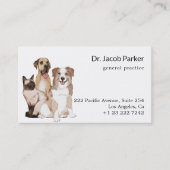 Tierklinische Hunde und Katzen Visitenkarte (Vorderseite)