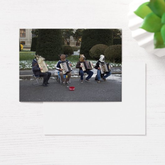 Tierkonzert (Schreibtisch)