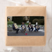 Tierkonzert (Insitu)