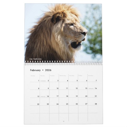Tierköpfe 12 Monate Kalender (Feb 2026)