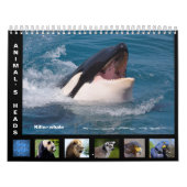 Tierköpfe 12 Monate Kalender (Titelbild)