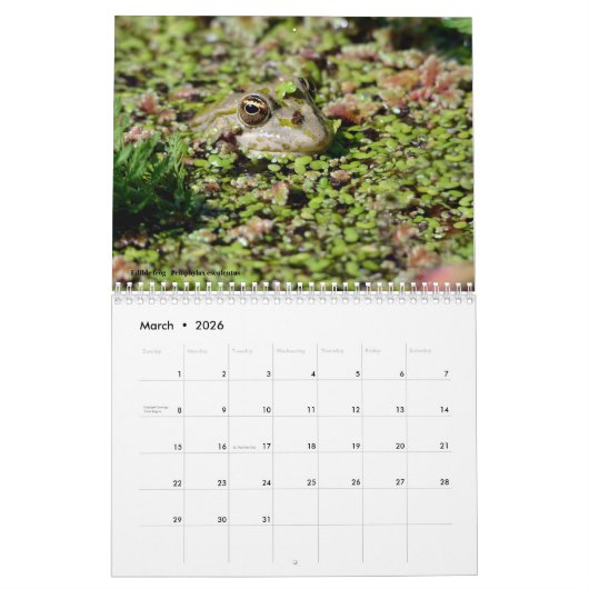 Tierköpfe 12 Monate Kalender (Mär 2026)