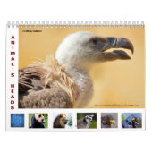Tierköpfe 12 Monate Kalender (Titelbild)