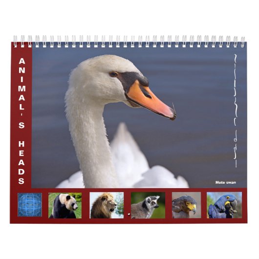 Tierköpfe 12 Monate Kalender (Titelbild)