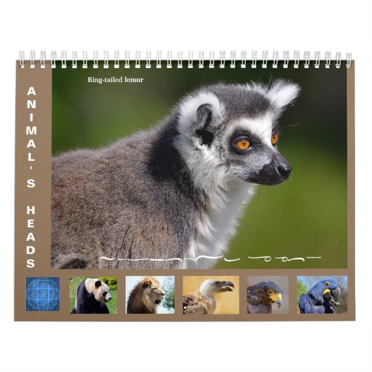 Tierkopfkalender 2025 kalender (Titelbild)