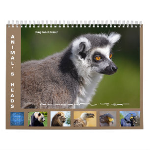 Tierkopfkalender 2025 kalender