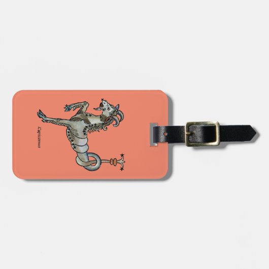 Tierkreis: Steinbock, 1482 Gepäckanhänger (Vorderseite horizontal)