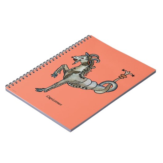 Tierkreis: Steinbock, 1482 Notizblock (Linke Seite)