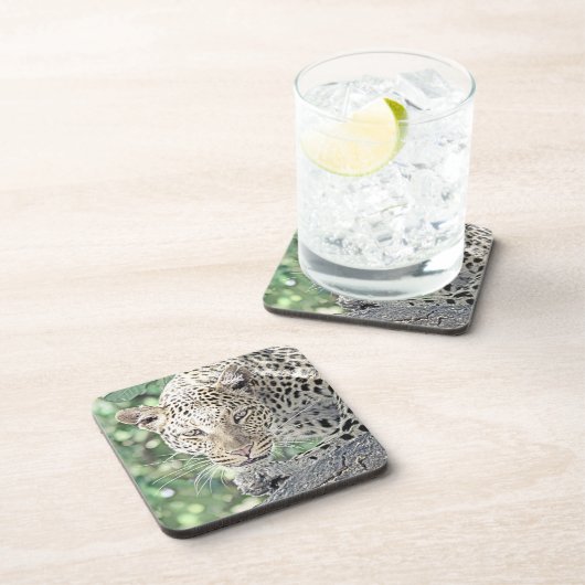 Tierleopard 2 getränkeuntersetzer (Rechte Seite)