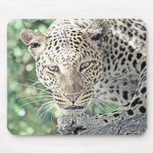 Tierleopard 2 mousepad