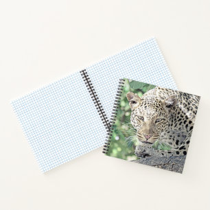 Tierleopard 2 notizblock