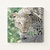 Tierleopard 2 notizblock (Rückseite)