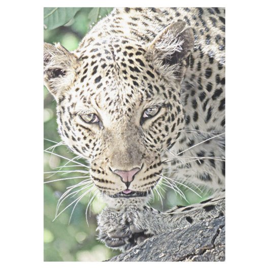 Tierleopard 2 tischdecke (Vorderseite)