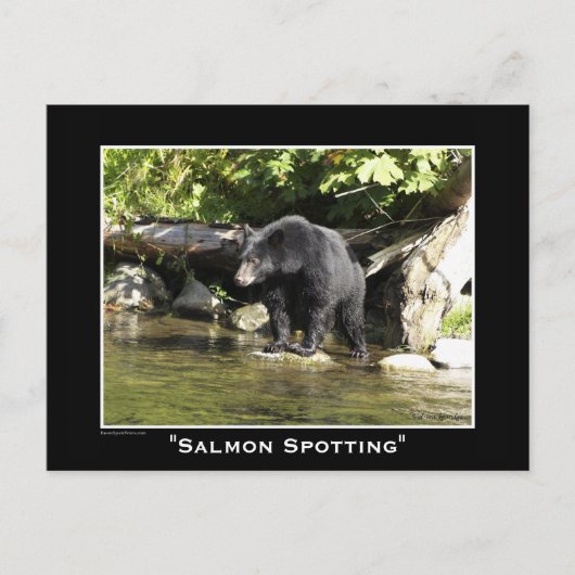 Tierliebhaber Design Postkarte (Vorderseite)