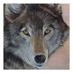 Tiermalerei des grauen Wolfs Poster