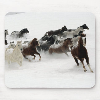 Tiermausunterlage 27 mousepad