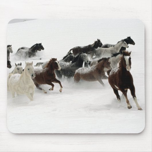 Tiermausunterlage 27 mousepad (Vorne)