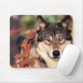 Tiermausunterlage 6 mousepad (Mit Mouse)