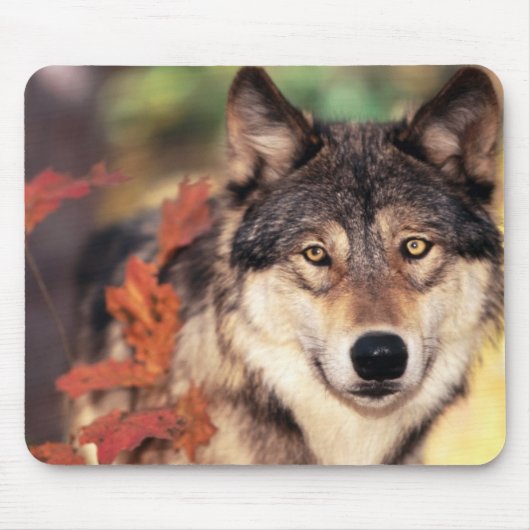 Tiermausunterlage 6 mousepad (Vorne)