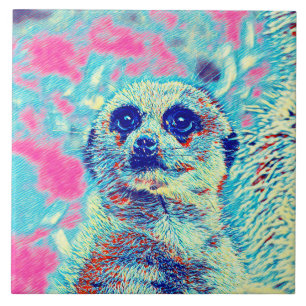 TierMix_Meerkat_008 Fliese