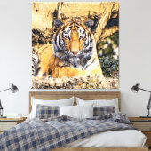 TierMix_Tiger_009 Leinwanddruck (Insitu (Schlafzimmer))