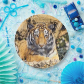 TierMix_Tiger_009 Pappteller (Party)