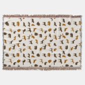 Tiermuster 1 decke (Vorderseite)