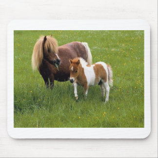 Tiermütter und -babys (17) mousepad