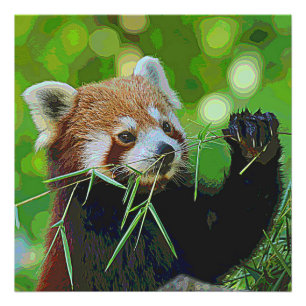 TierPaint_RedPanda_20171201_by_JAMColors Fotodruck