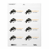Tierparade Schwarze Haloween Crow (Vorne)