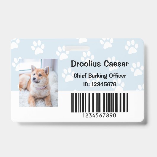 Tierpflege Veterinärmedizinischer Mitarbeiter im F Ausweis (Vorderseite)