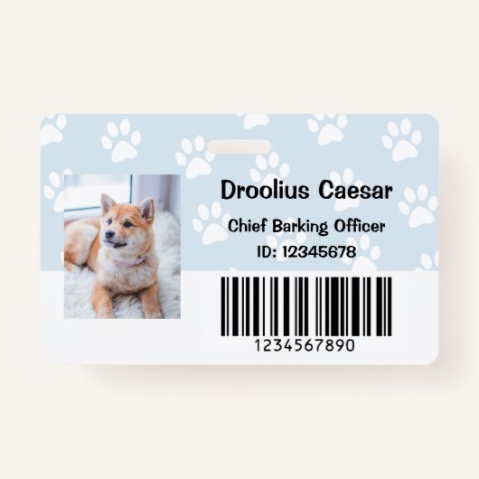 Tierpflege Veterinärmedizinischer Mitarbeiter im F Ausweis (Vorderseite)