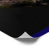 Tierplakate Poster (Ecke)