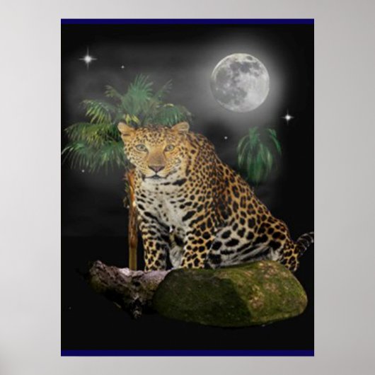 Tierplakate Poster (Vorne)