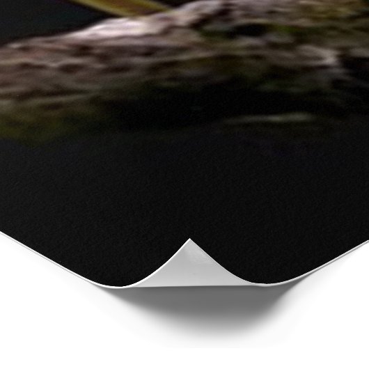 Tierplakate Poster (Ecke)