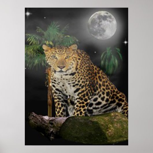 Tierplakate Poster (Vorne)