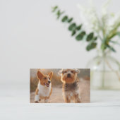 Tierpopulation Influenzavolles Foto QR Code Schwar Visitenkarte (Stehend Vorderseite)