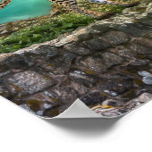 Tierportrait Wildkatze Poster (Ecke)