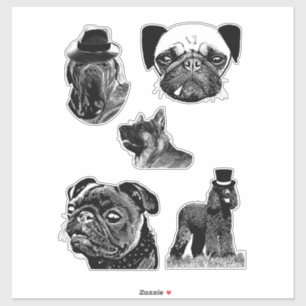 Tierportraits gemischte Hunde züchten originale Co Aufkleber